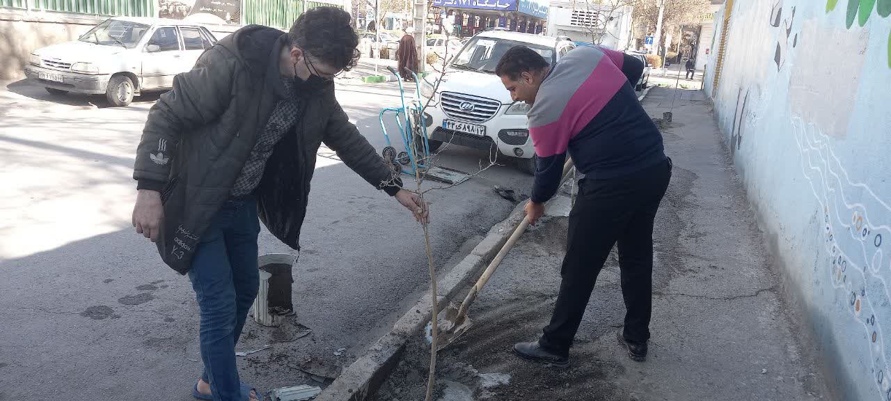 غرس بیش از پانزده ا صل درخت در حاشیه خیابان آبکوه (استخر شهید حججی ) با همکاری هیأت ورزشهای آبی استان  1403/12/25