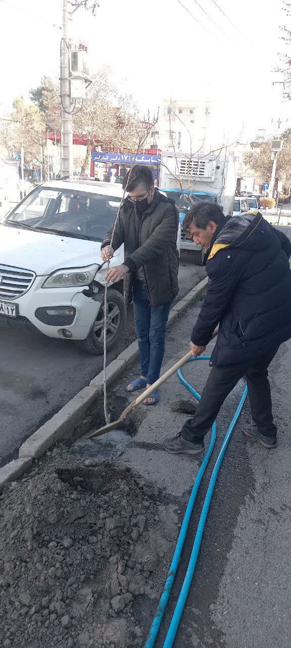 غرس بیش از پانزده ا صل درخت در حاشیه خیابان آبکوه (استخر شهید حججی ) با همکاری هیأت ورزشهای آبی استان  1403/12/25